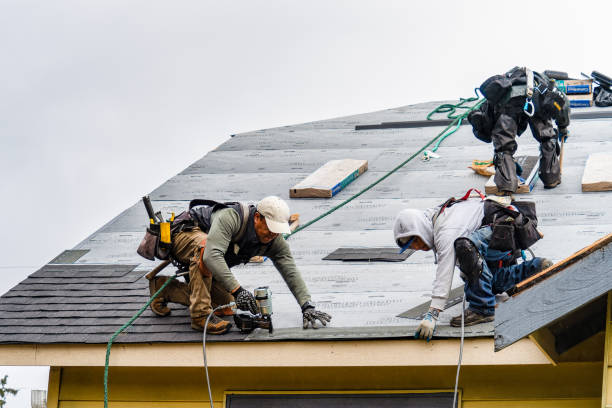 Professional Gutter Installation technician working in Morris, AL